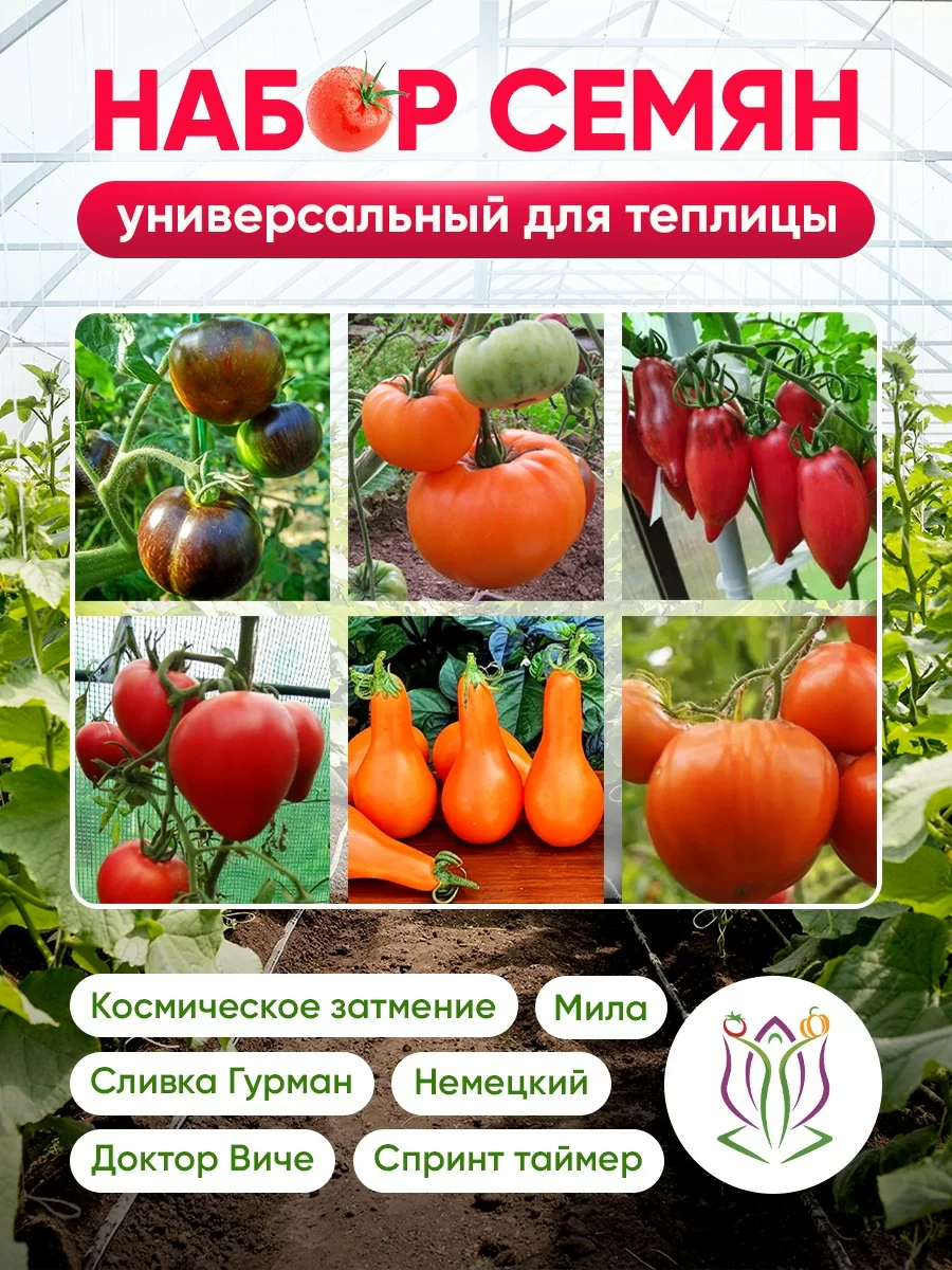 Набор семян "Универсальный для теплицы"