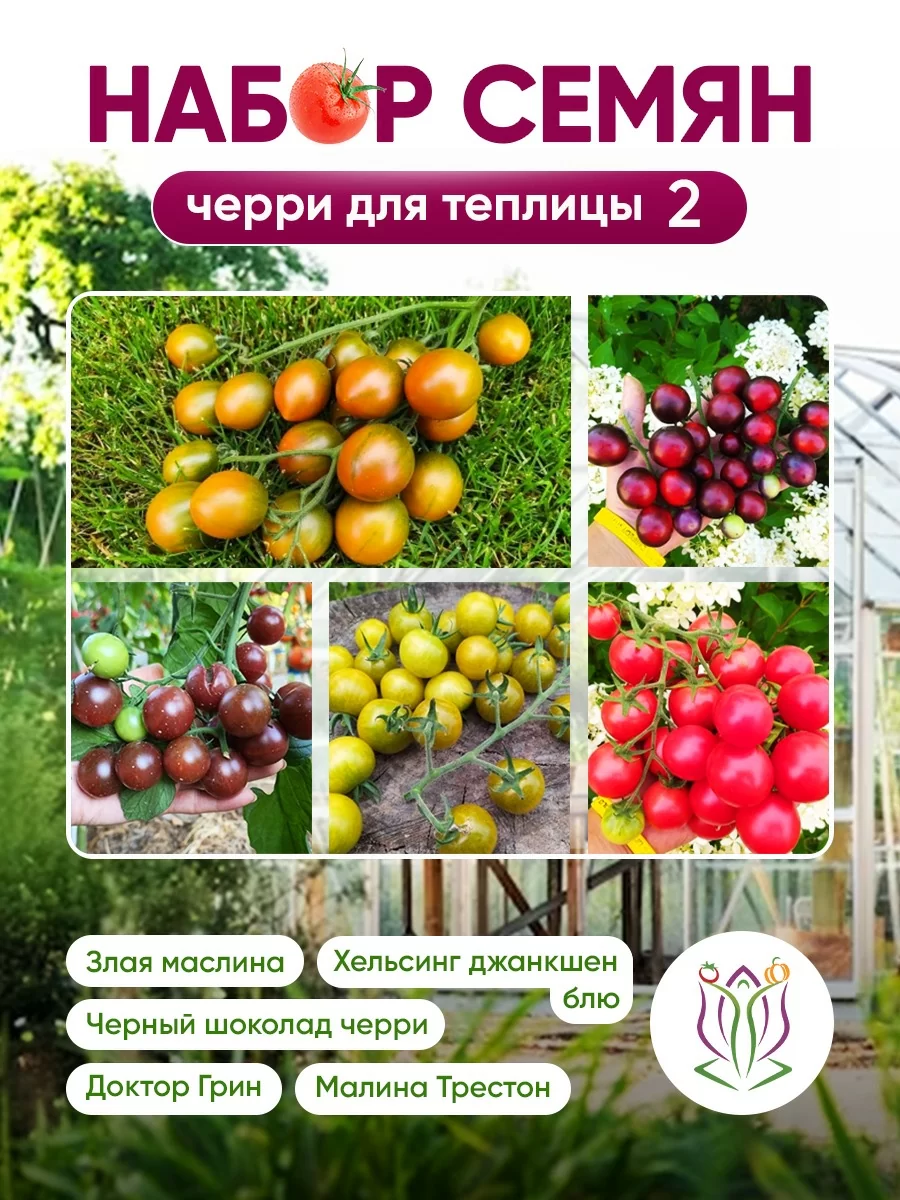 Набор семян "Черри для теплицы 2"