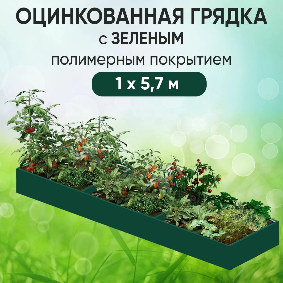 Грядка зеленая (1 х 5,7)
