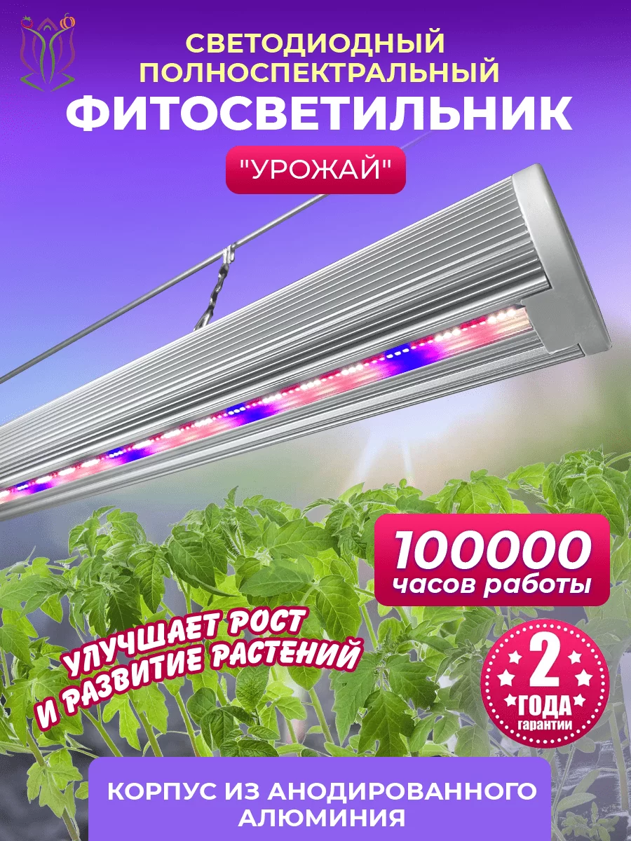 Фитолампа `Урожай`
