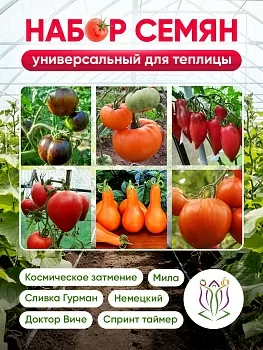 Набор семян "Универсальный для теплицы"